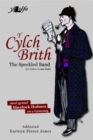 Image for Cylch Brith, Y