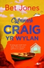 Image for Cyfrinach Craig yr Wylan
