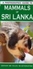 Image for A Photographic Guide to Mammals of Sri Lanka