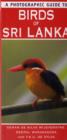 Image for A Photographic Guide to Birds of Sri Lanka