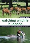 Image for Watching wildlife in London