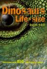 Image for Dinosaurs Life Size