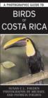 Image for A Photographic Guide to Birds of Costa Rica