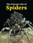 Image for The Private Life of Spiders