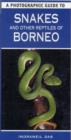 Image for A photographic guide to snakes and other reptiles of Borneo