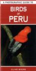 Image for A photographic guide to birds of Peru