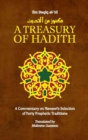 Image for A treasury of hadith  : a commentary on Nawawi&#39;s forty prophetic traditions