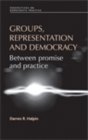 Image for Groups, representation and democracy: between promise and practice