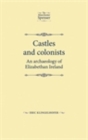 Image for Castles and Colonists: An Archaeology of Elizabethan Ireland