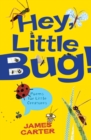 Image for Hey little bug!  : poems for little creatures