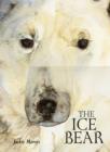 Image for Ice Bear Signed Edition