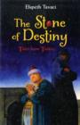 Image for The stone of destiny  : tales from Turkey