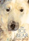 Image for The ice bear