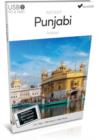 Image for Instant Punjabi, USB Course for Beginners (Instant USB)