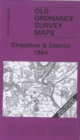 Image for Chepstow and District 1894 : One Inch Sheet 250