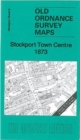 Image for Stockport Town Centre 1873 : Stockport Sheet 8