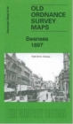 Image for Swansea 1897