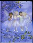 Image for TWINKLE TOES LUXURY NOTE BOOK