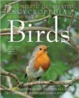 Image for The Complete Illustrated Encyclopedia of British Birds