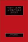 Image for Youth crime and juvenile justice