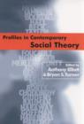 Image for Profiles in contemporary social theory