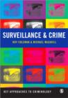 Image for Surveillance and crime