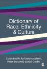 Image for Dictionary of race, ethnicity and culture