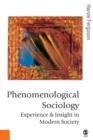 Image for Phenomenological sociology: experience and insight in modern society