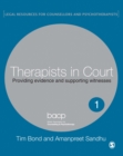 Image for Therapists in court: providing evidence and supporting witnesses