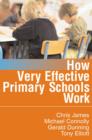 Image for How very effective primary schools work