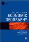 Image for Key concepts in economic geography