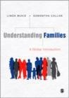 Image for Understanding families  : a global introduction