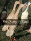 Image for The domestic duck