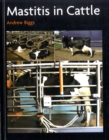 Image for Mastitis in cattle