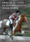 Image for Practical steps in rehabilitating your horse