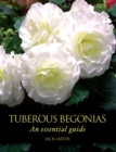 Image for Tuberous begonias  : an essential guide