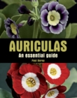 Image for Auriculas