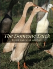 Image for The domestic duck