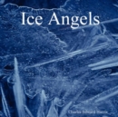 Image for Ice Angels
