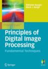 Image for Principles of digital image processing: Fundamental techniques