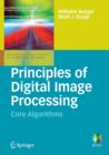 Image for Principles of digital image processing: Core algorithms