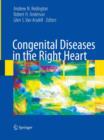 Image for Congenital Diseases in the Right Heart