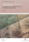 Image for Stonehenge World Heritage Site Landscape Project  : Stonehenge aerodrome and the Stonehenge landscape