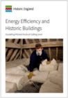 Image for Energy Efficiency and Historic Buildings : Insulating Pitched Roofs at Ceiling Level