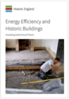 Image for Energy Efficiency and Historic Buildings : Insulating Solid Ground Floors