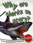 Image for 1st Questions and Answers Sharks