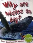 Image for Why are whales so big?
