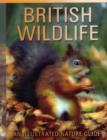 Image for British Wildlife