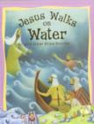 Image for Jesus Walks on Water and Other Bible Stories