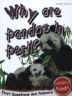 Image for Why are pandas in peril?